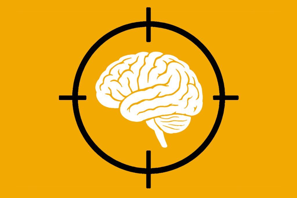 Targeting brain aging at the cellular level